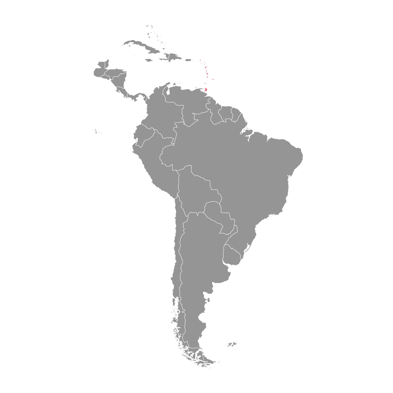 Alianza Internacional